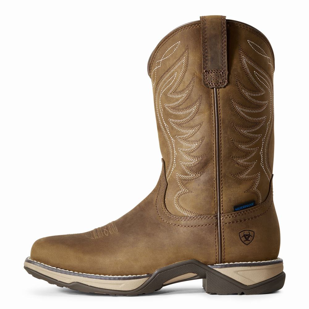 Brown Women's Ariat Anthem Waterproof Western Boots | 8759-MGEUI