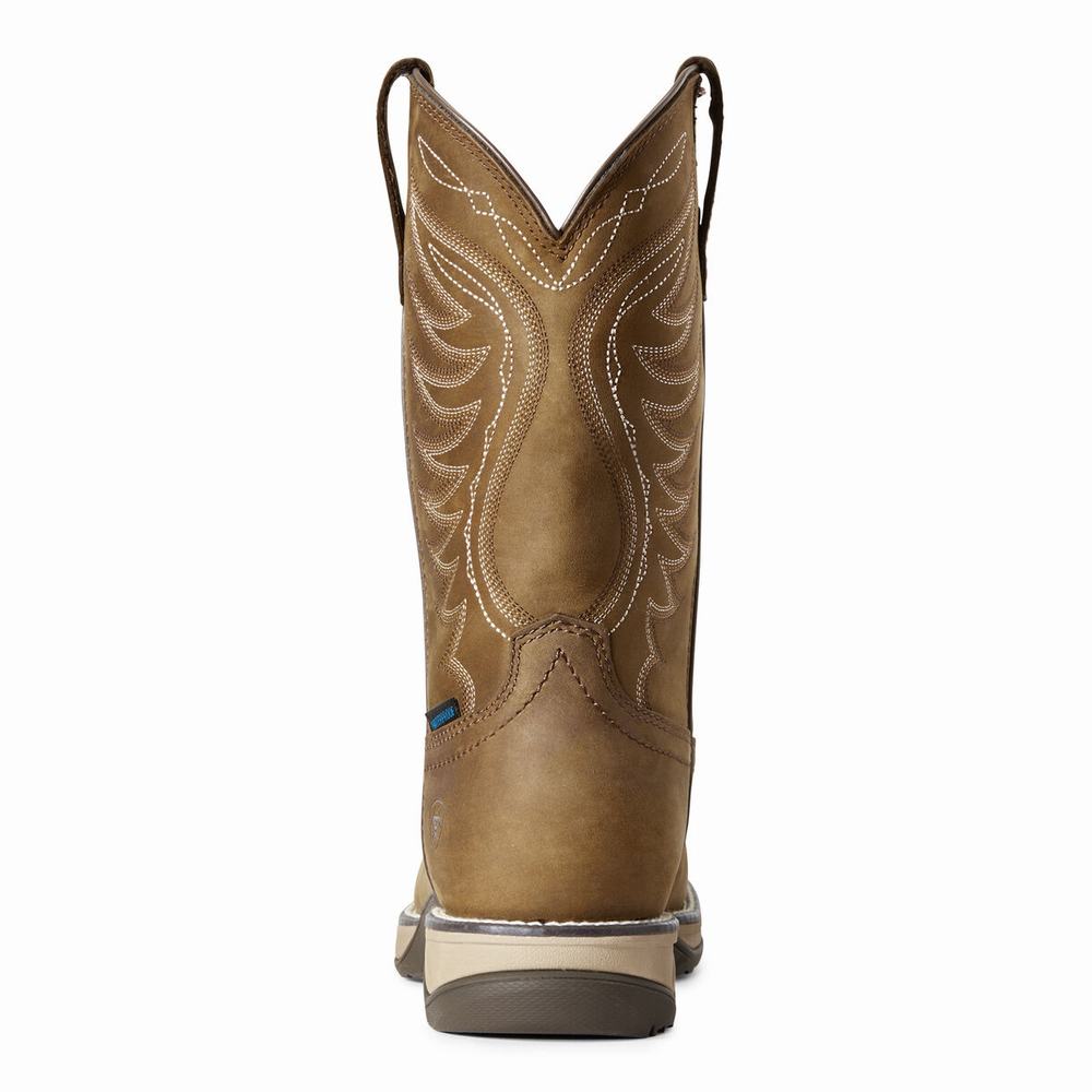 Brown Women's Ariat Anthem Waterproof Western Boots | 8759-MGEUI