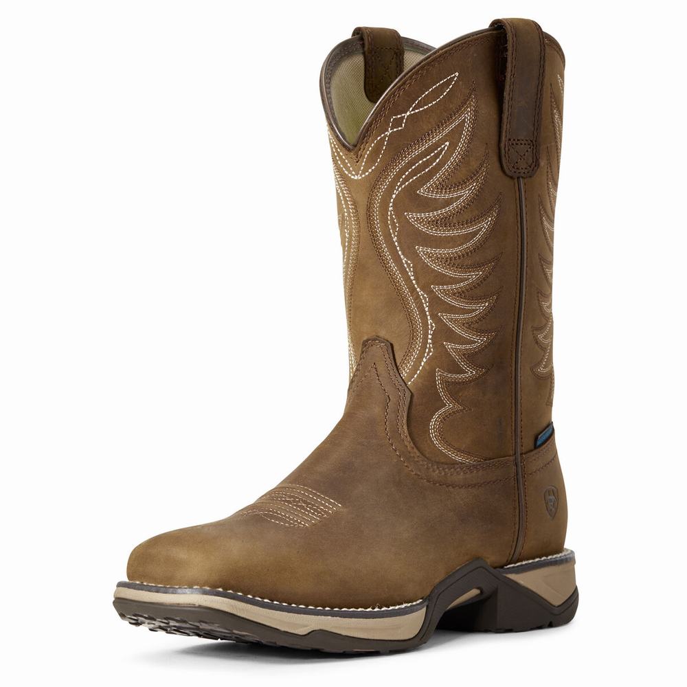 Brown Women\'s Ariat Anthem Waterproof Western Boots | 8759-MGEUI