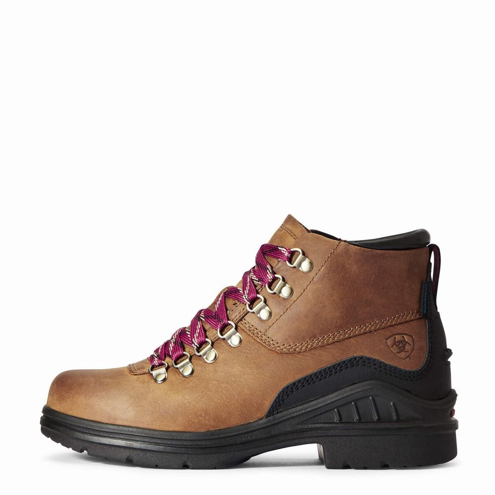 Brown Women's Ariat Barnyard Lace Waterproof Hiking Boots | 1408-XMUDP