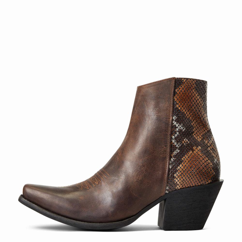 Brown Women's Ariat Carmelita Booties | 3015-JMPKE