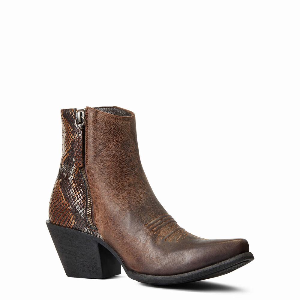 Brown Women's Ariat Carmelita Booties | 3015-JMPKE