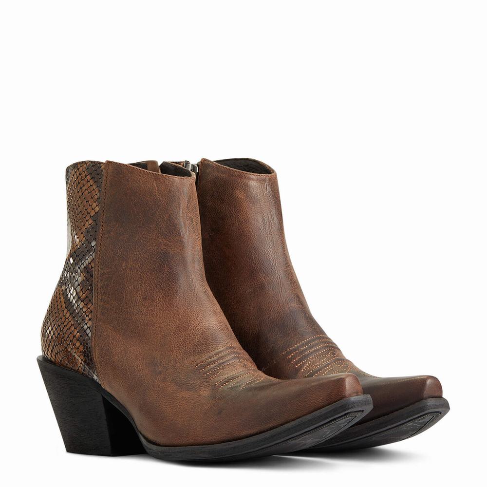 Brown Women's Ariat Carmelita Booties | 3015-JMPKE