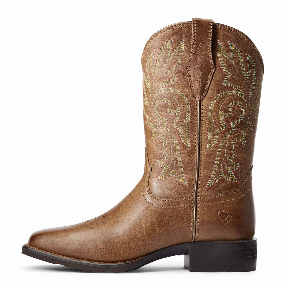 Brown Women's Ariat Cattle Drive Western Boots | 0481-EWGAC