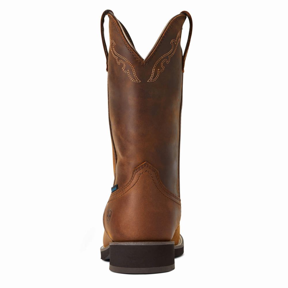 Brown Women's Ariat Delilah Round Toe Waterproof Western Boots | 1850-CVBNG