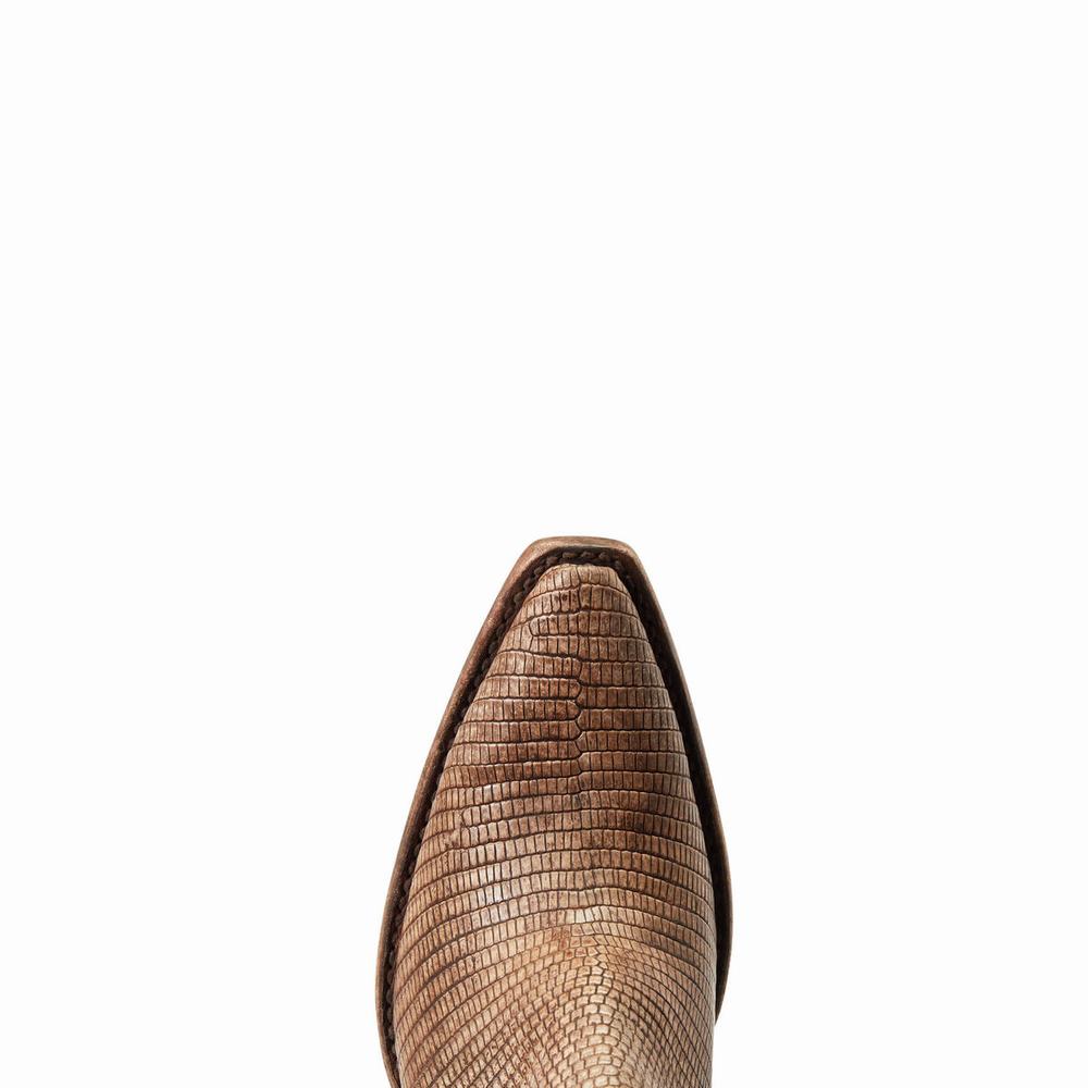 Brown Women's Ariat Dixon Lizard Booties | 5173-NTKOS