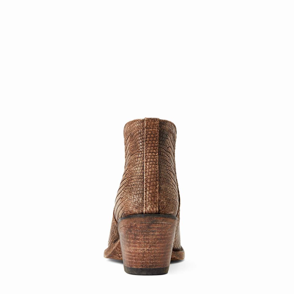 Brown Women's Ariat Dixon Lizard Booties | 5173-NTKOS