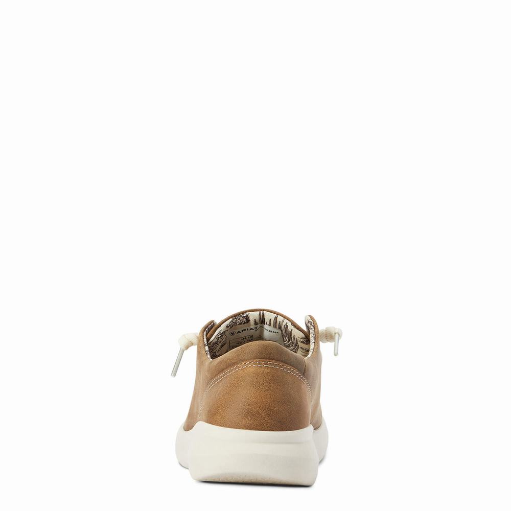 Brown Women's Ariat Hilo Sneakers | 8957-GDTFN