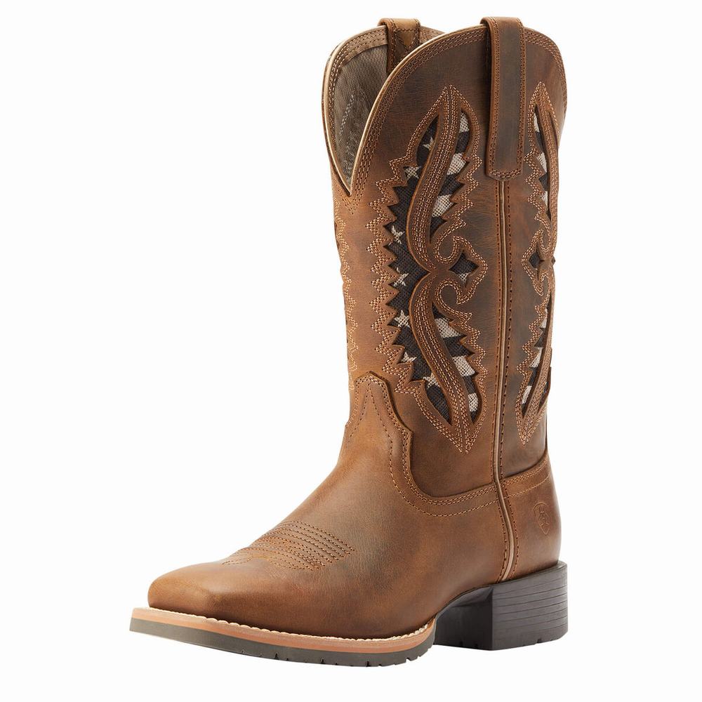 Brown Women\'s Ariat Hybrid Rancher VentTek 360 Western Boots | 4531-ALPCT