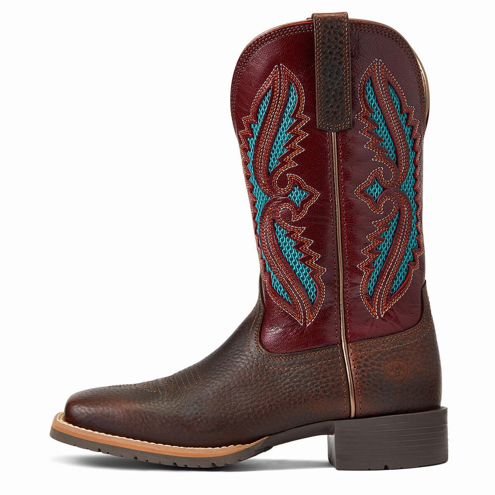 Brown Women's Ariat Hybrid Rancher VentTek 360 Western Boots | 8412-OSAVT