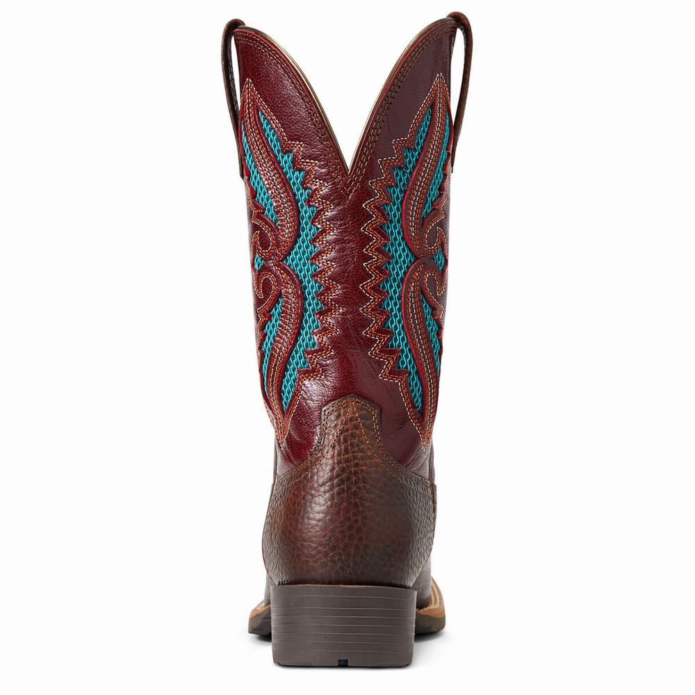 Brown Women's Ariat Hybrid Rancher VentTek 360 Western Boots | 8412-OSAVT