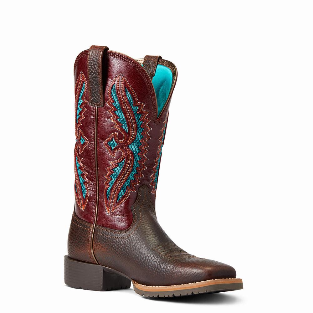 Brown Women's Ariat Hybrid Rancher VentTek 360 Western Boots | 8412-OSAVT