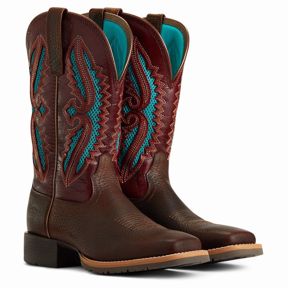 Brown Women's Ariat Hybrid Rancher VentTek 360 Western Boots | 8412-OSAVT