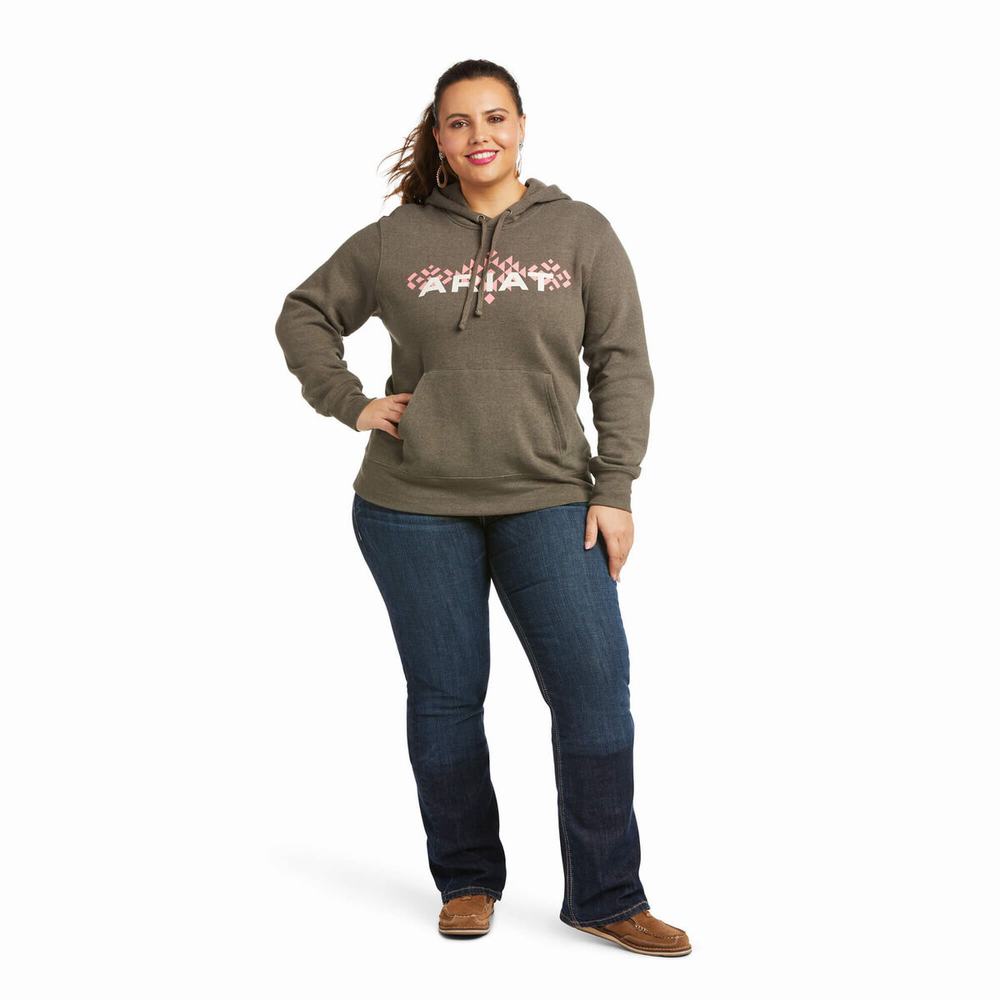 Brown Women's Ariat REAL Arm Logo Hoodies | 5129-YRGSP