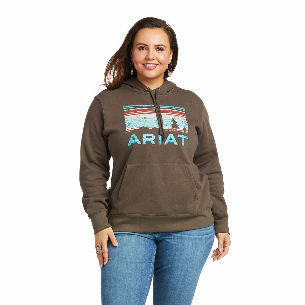 Brown Women's Ariat REAL Arm Logo Hoodies | 5832-VCMFQ