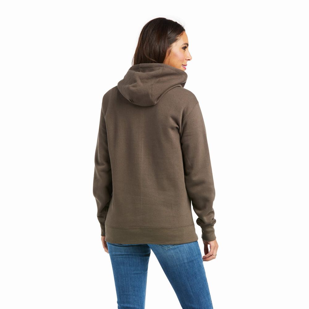 Brown Women's Ariat REAL Arm Logo Hoodies | 5832-VCMFQ