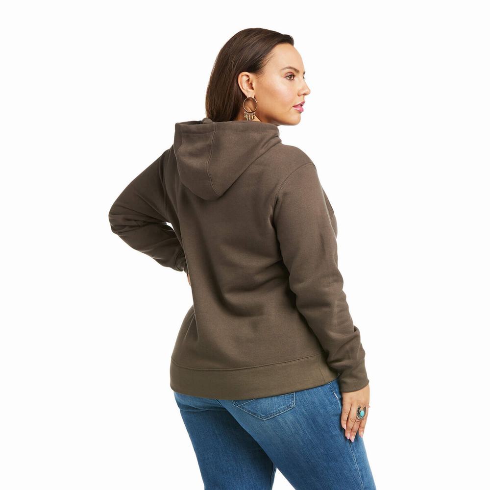 Brown Women's Ariat REAL Arm Logo Hoodies | 5832-VCMFQ