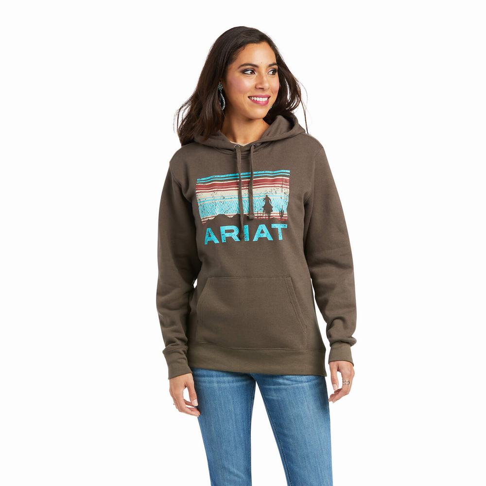 Brown Women\'s Ariat REAL Arm Logo Hoodies | 5832-VCMFQ