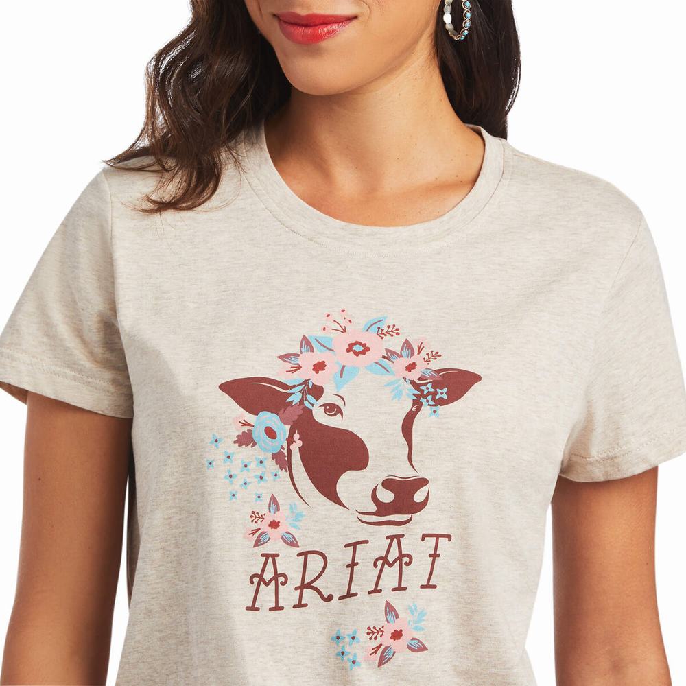 Brown Women's Ariat REAL Moo Tops | 2675-CWPEY