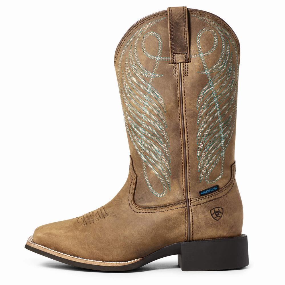 Brown Women's Ariat Round Up Wide Square Toe Waterproof Waterproof Boots | 7354-JGZUA