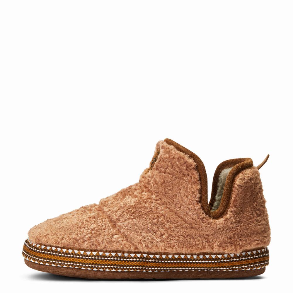 Brown Women's Ariat Slippers | 0874-AQSRX