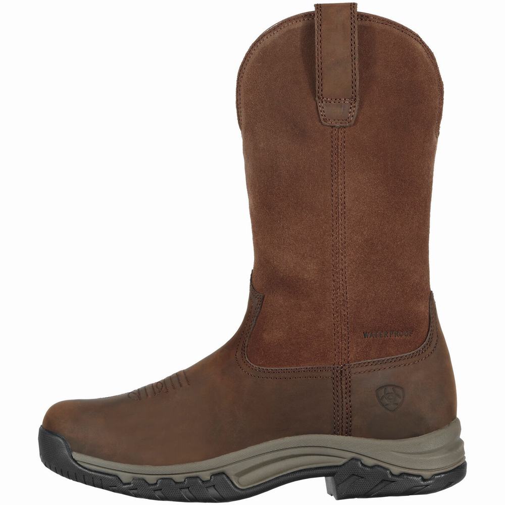 Brown Women's Ariat Terrain Pull On Waterproof English Riding Boots | 7516-WLYGU