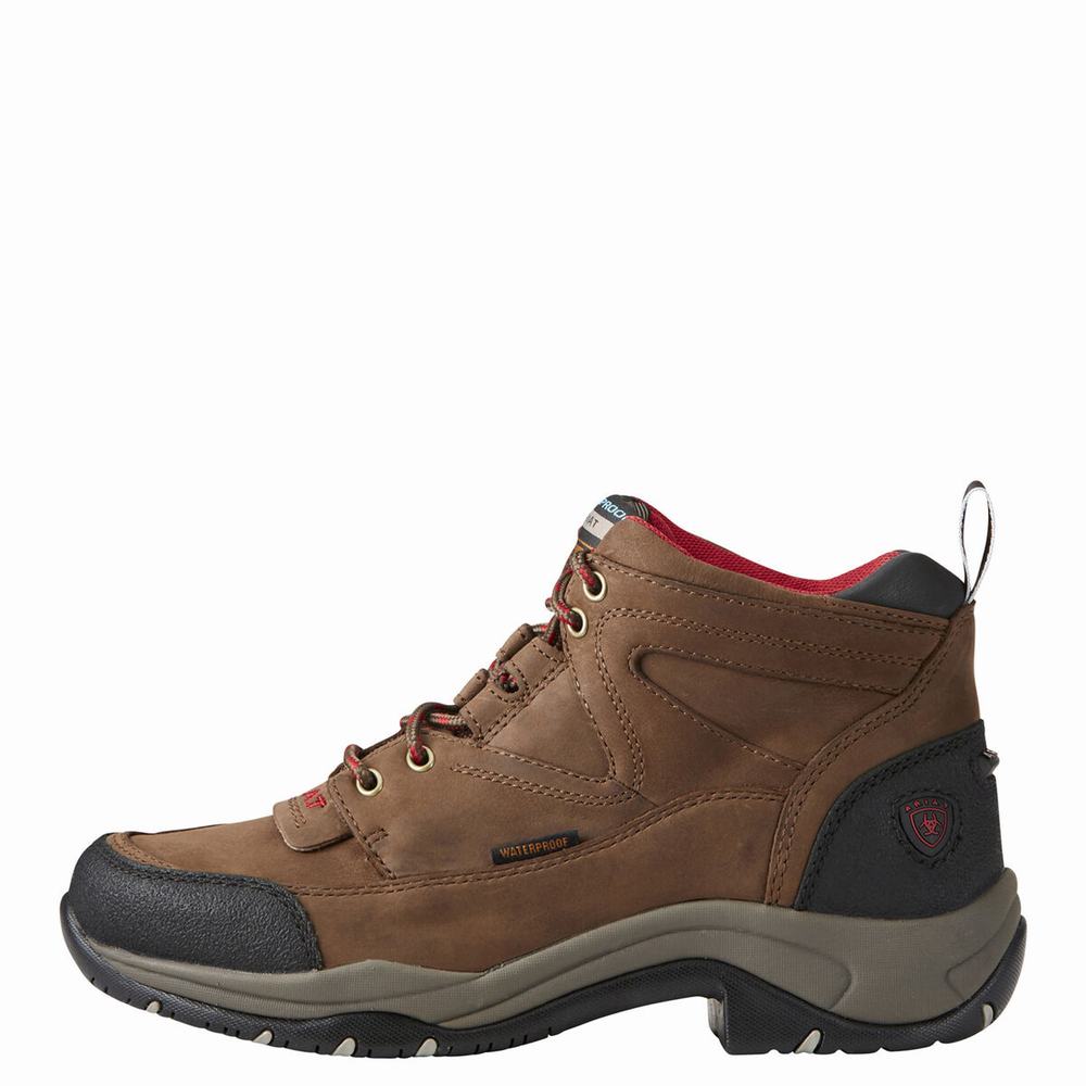 Brown Women's Ariat Terrain Waterproof Hiking Boots | 1362-VUCBH