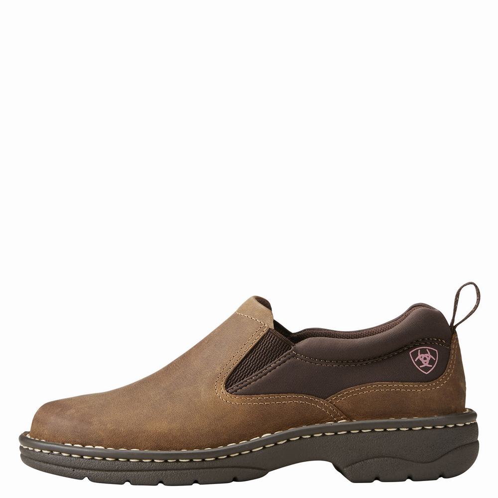 Brown Women's Ariat Traverse Sneakers | 2475-SZVQH