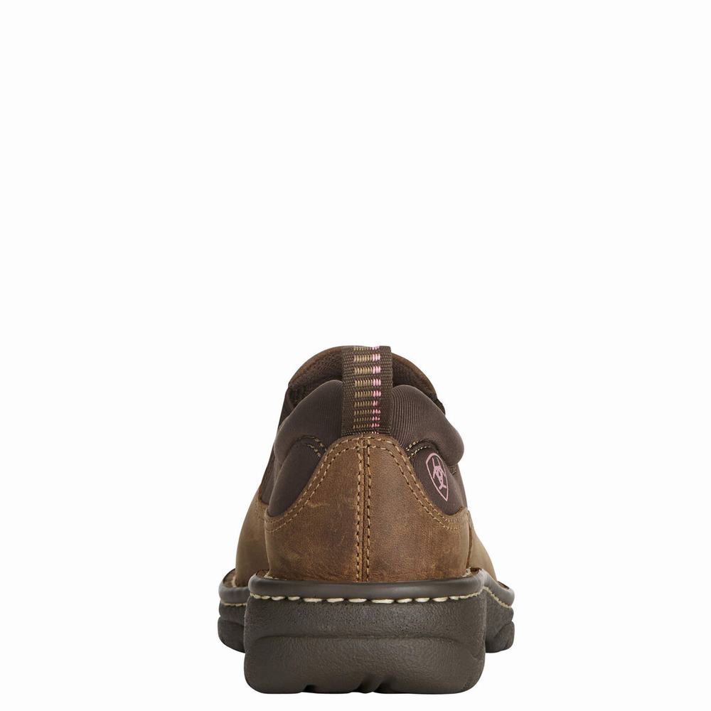 Brown Women's Ariat Traverse Sneakers | 2475-SZVQH