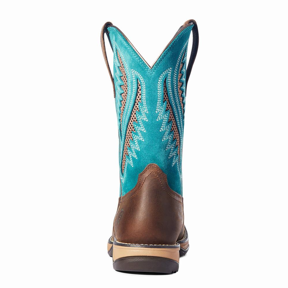 Chocolate Women's Ariat Anthem VentTEK Western Boots | 5926-YVGOU