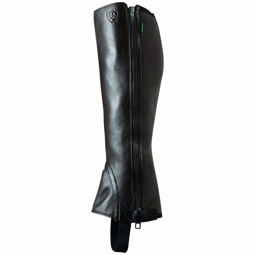 Chocolate Women's Ariat Breeze Chap Half Chap English Riding Boots | 4056-QRAPI