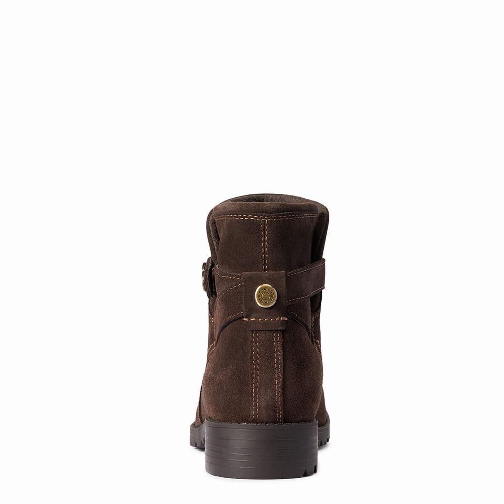 Chocolate Women's Ariat Charlie Waterproof Waterproof Boots | 5061-DCMFE