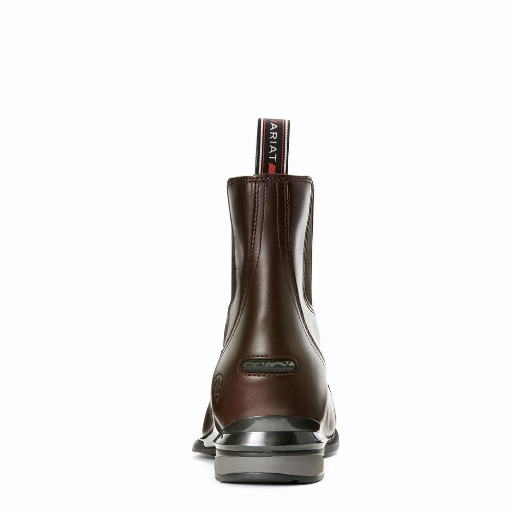 Chocolate Women's Ariat Devon Nitro Paddock English Riding Boots | 6478-MDAHV