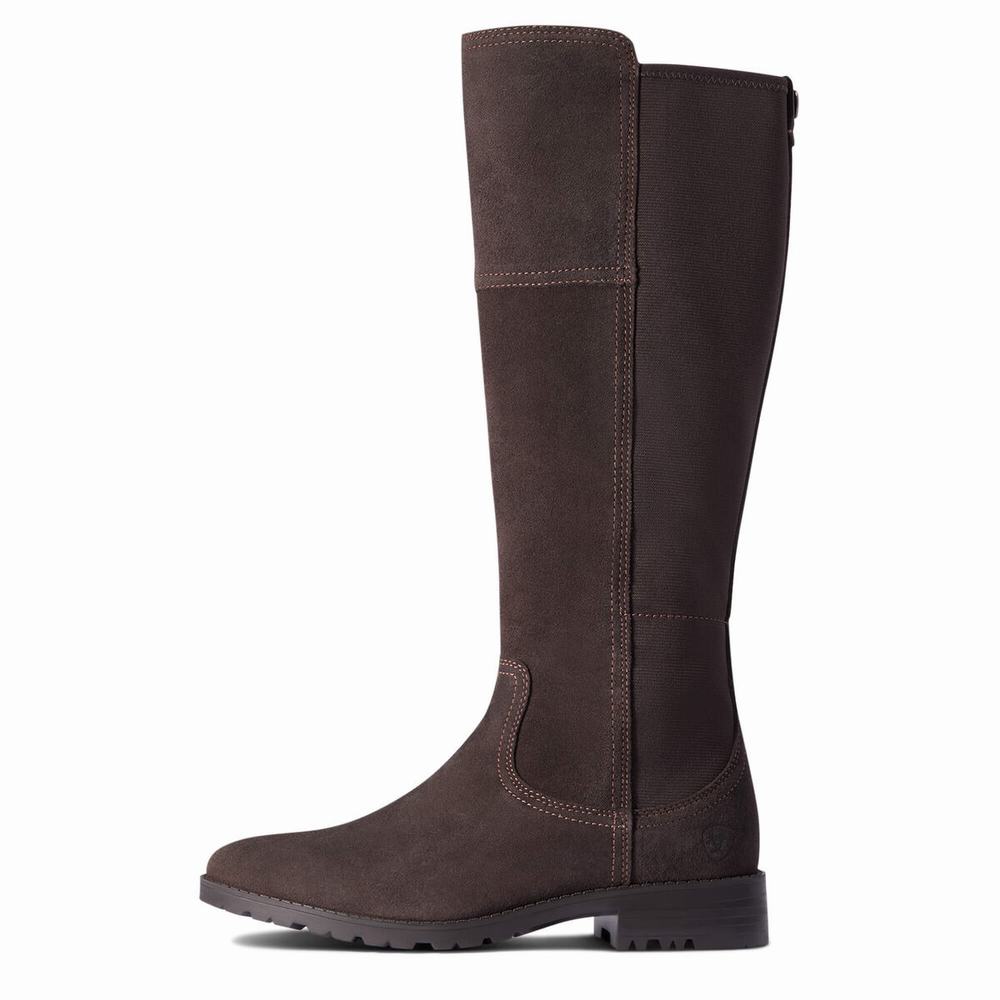 Chocolate Women's Ariat Sutton II Waterproof Dress Boots | 1402-CLAMW