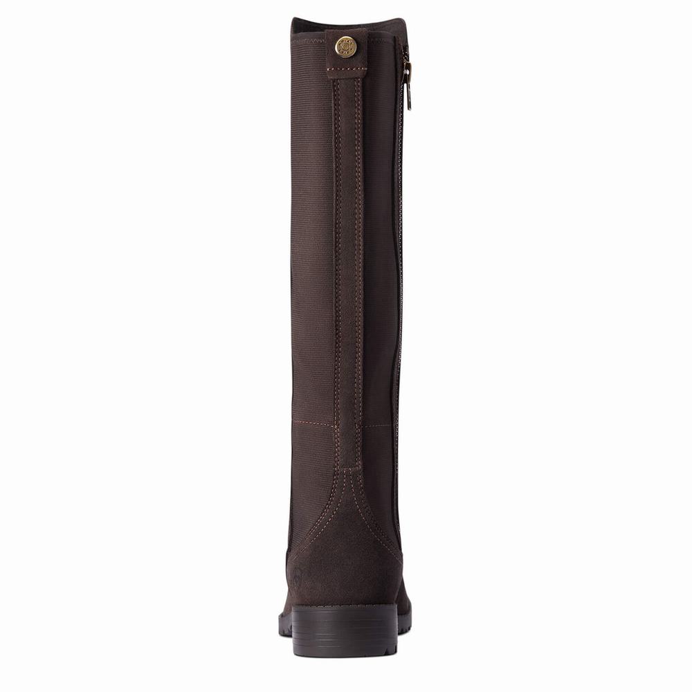 Chocolate Women's Ariat Sutton II Waterproof Dress Boots | 1402-CLAMW