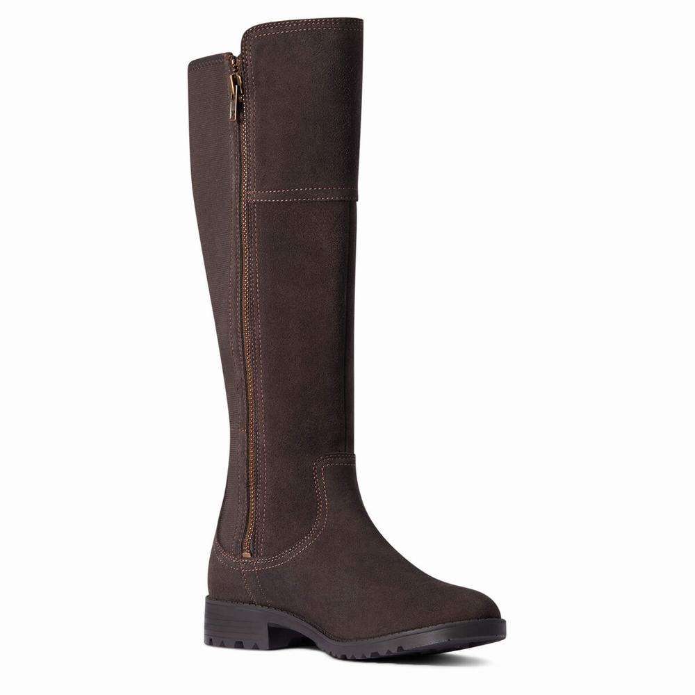 Chocolate Women's Ariat Sutton II Waterproof Dress Boots | 1402-CLAMW