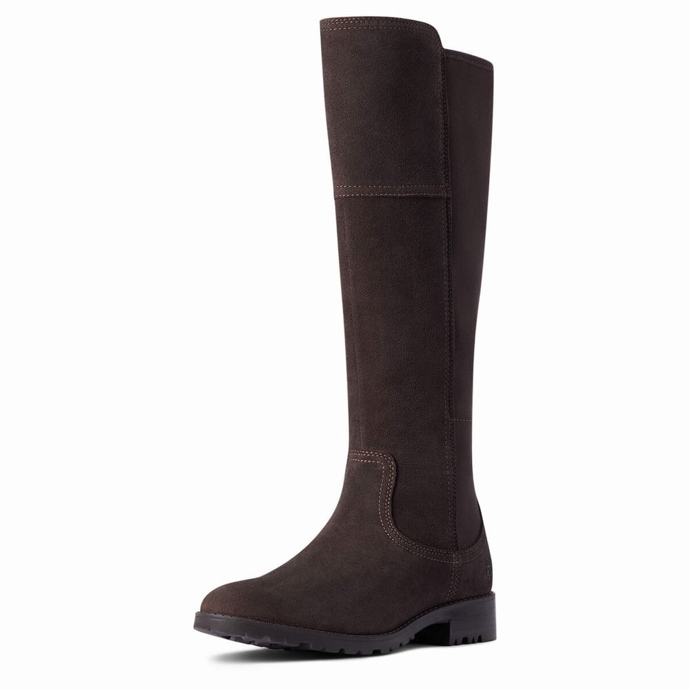 Chocolate Women\'s Ariat Sutton II Waterproof Dress Boots | 1402-CLAMW