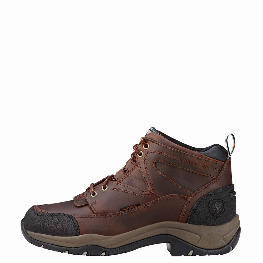 Copper Women's Ariat Terrain Waterproof Hiking Boots | 2981-APLMX