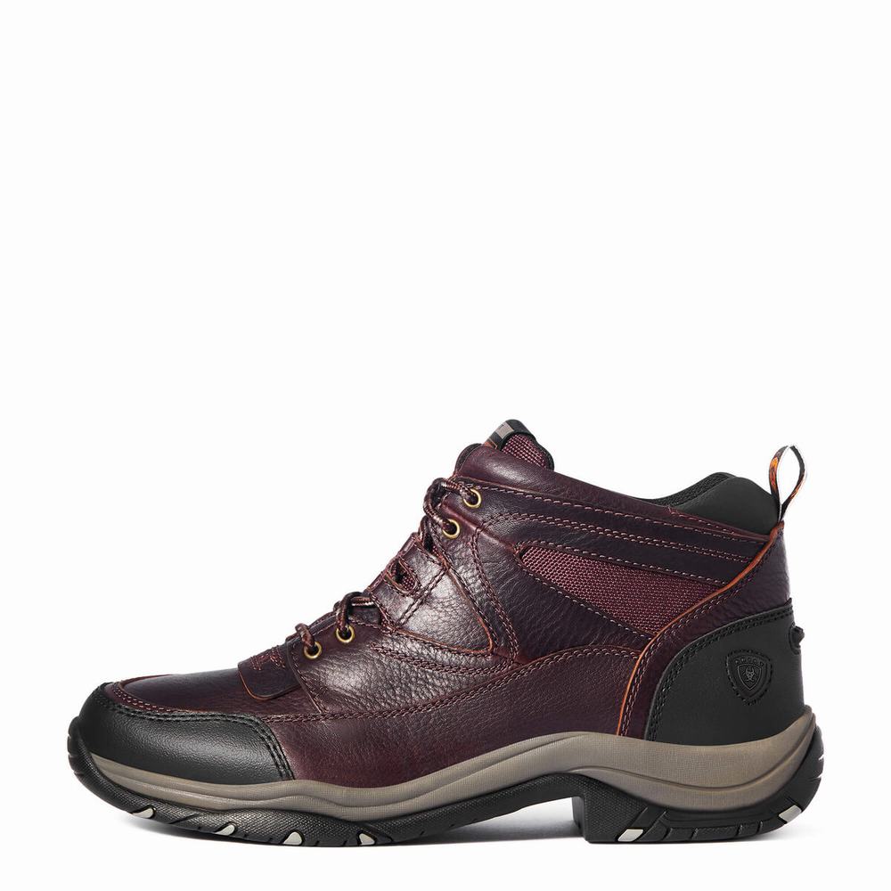 Dark Brown Men's Ariat Terrain Hiking Boots | 8602-TRFYC