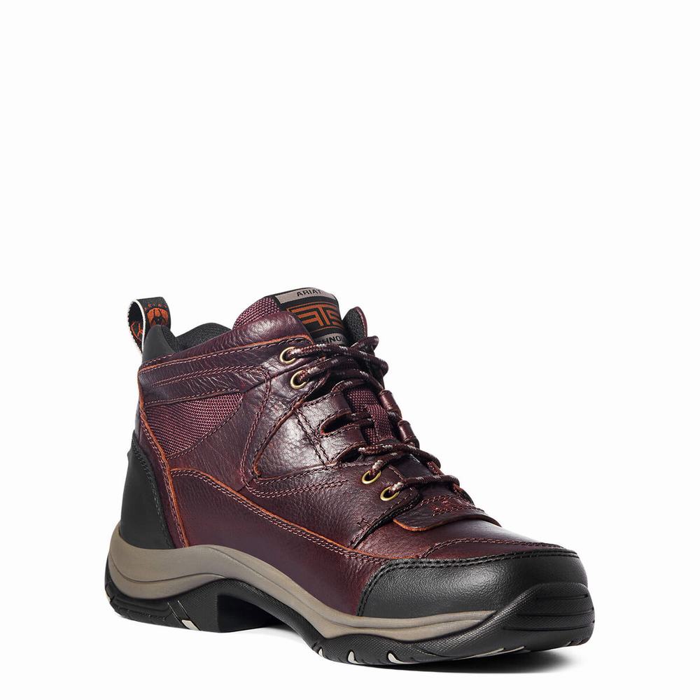 Dark Brown Men's Ariat Terrain Hiking Boots | 8602-TRFYC