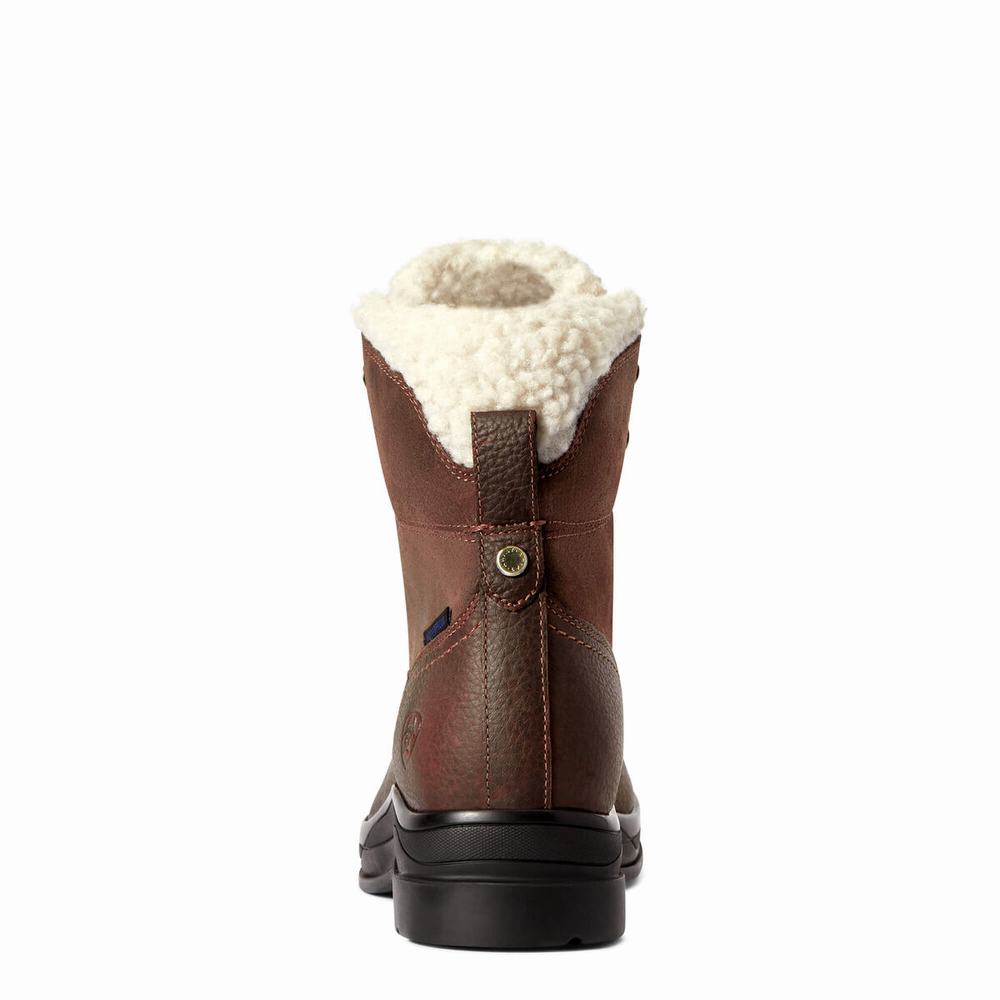 Dark Brown Women's Ariat Harper Waterproof English Riding Boots | 3805-ZXEPG