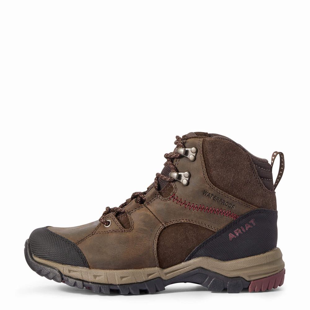 Dark Brown Women's Ariat Skyline Mid Waterproof Hiking Boots | 4186-JHBCW