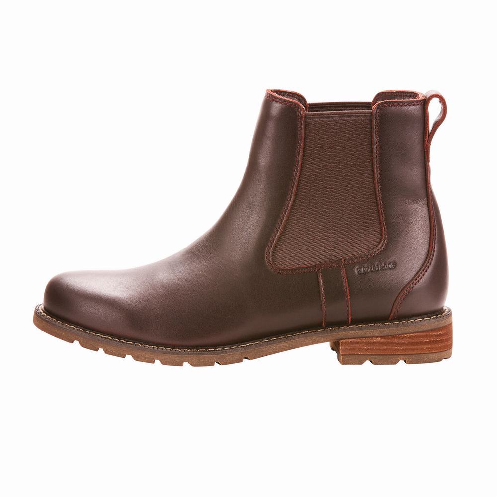 Dark Brown Women's Ariat Wexford Waterproof Dress Boots | 3194-DEISA