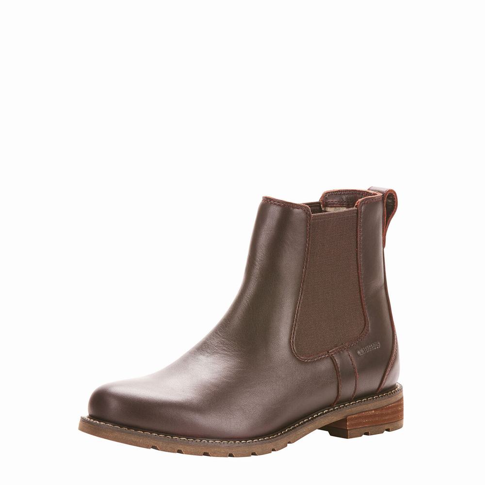 Dark Brown Women\'s Ariat Wexford Waterproof Dress Boots | 3194-DEISA