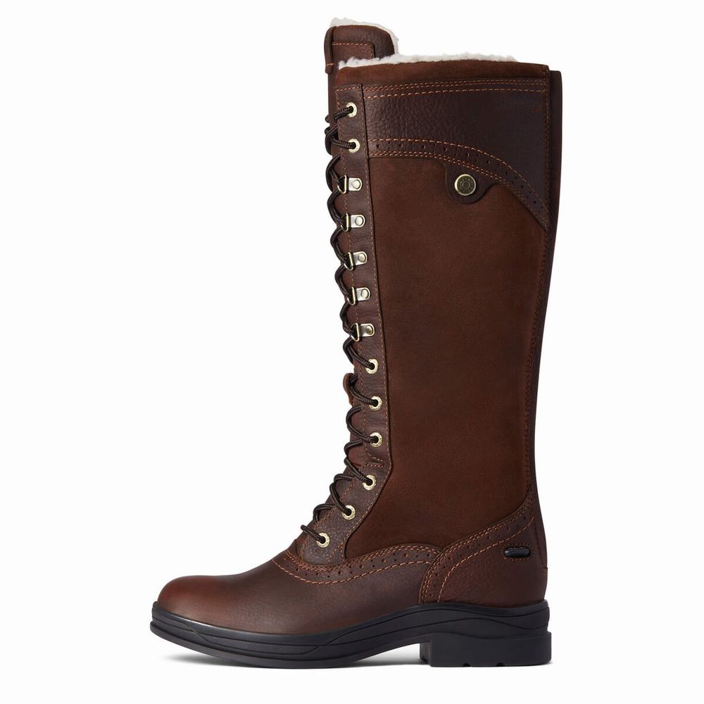 Dark Brown Women's Ariat Wythburn Tall Waterproof English Riding Boots | 2589-AKJXG