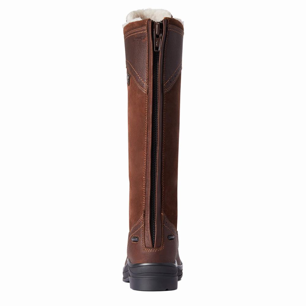 Dark Brown Women's Ariat Wythburn Tall Waterproof English Riding Boots | 2589-AKJXG