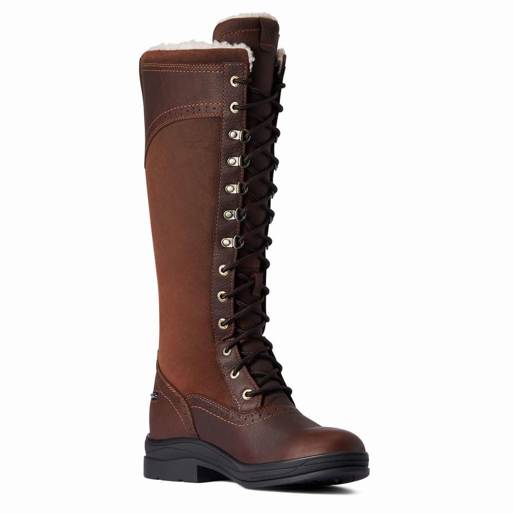 Dark Brown Women's Ariat Wythburn Tall Waterproof English Riding Boots | 2589-AKJXG