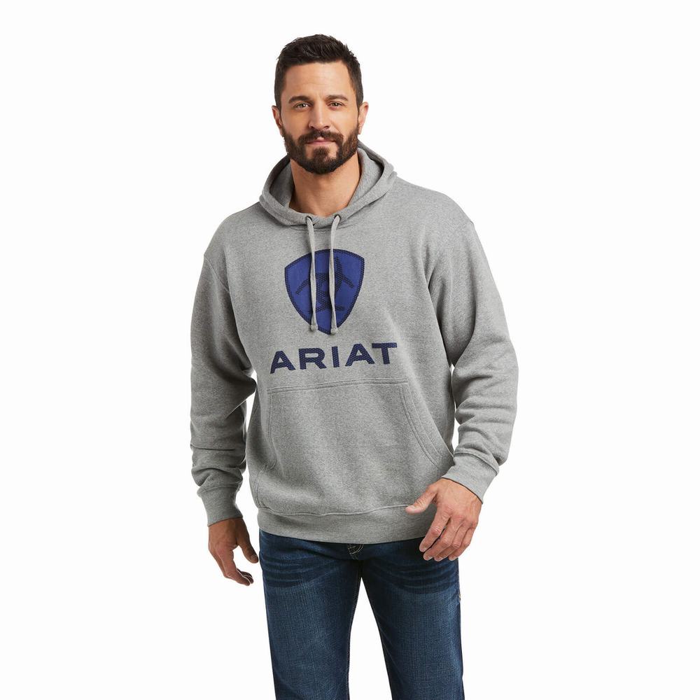 Deep Blue Men\'s Ariat Basic Hoodies | 2570-JFXHA