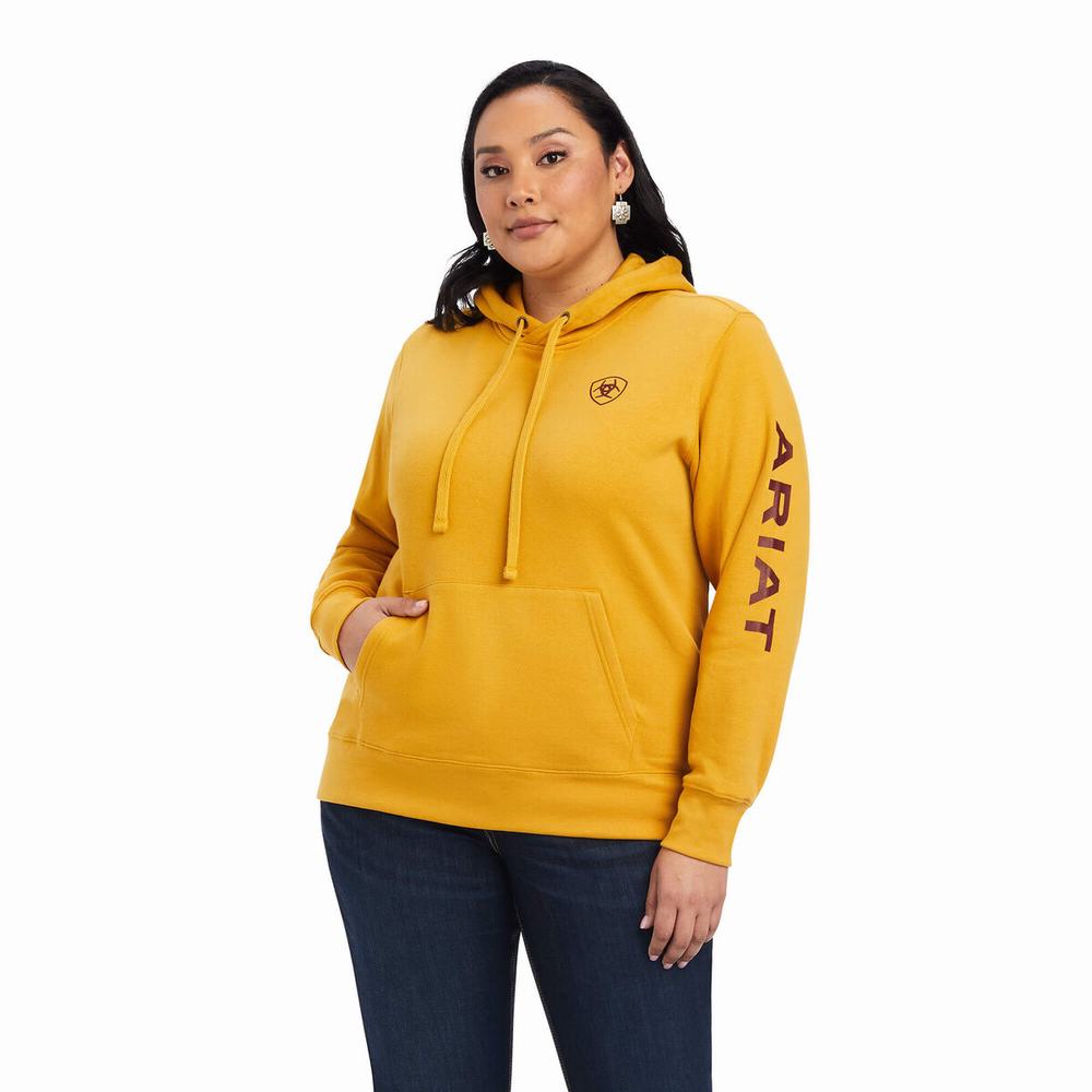 Gold Women's Ariat REAL Classic Arm Logo Hoodies | 4680-EUVQB