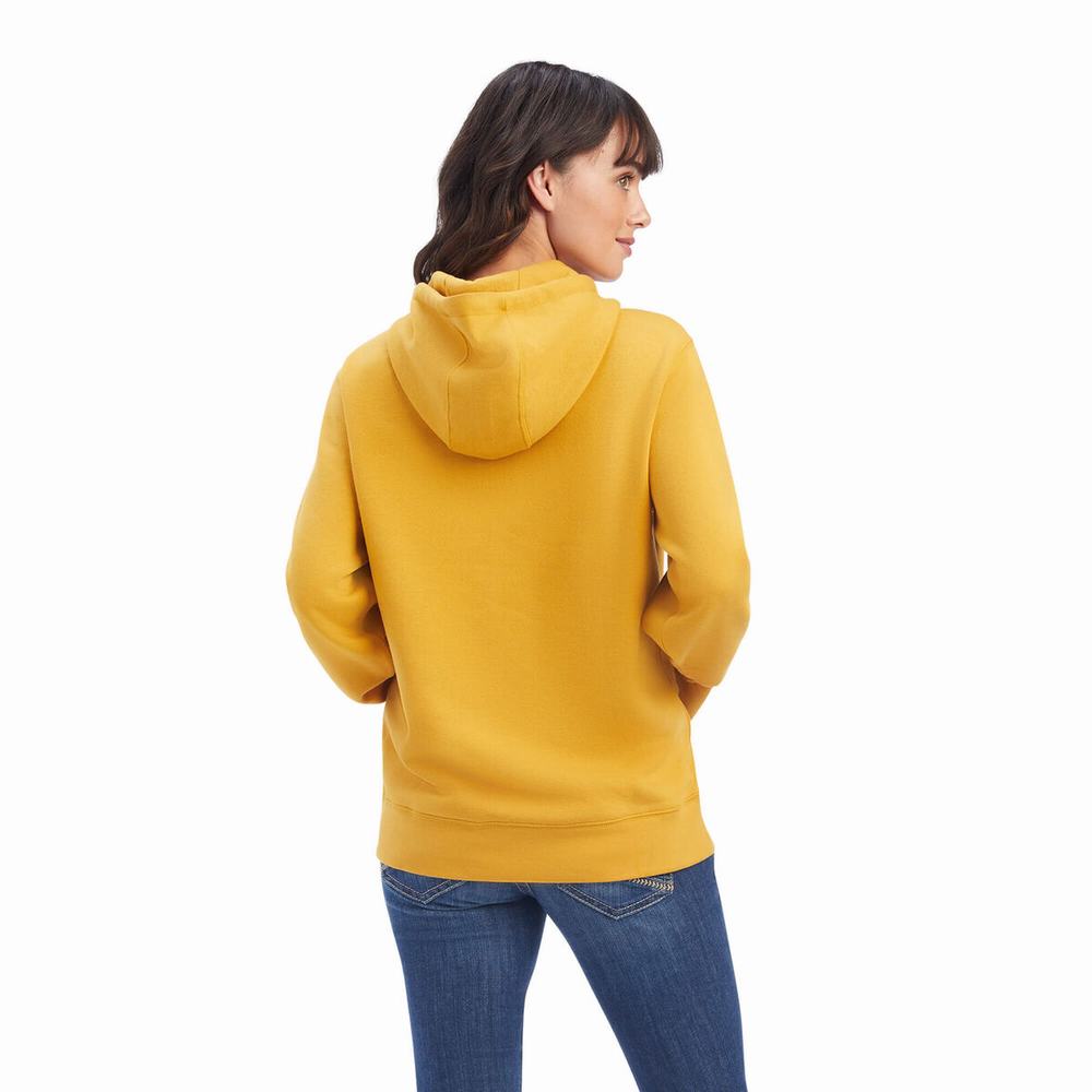 Gold Women's Ariat REAL Classic Arm Logo Hoodies | 4680-EUVQB